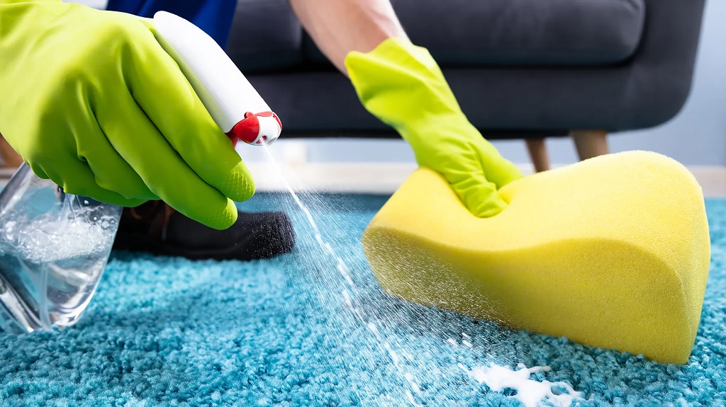 How to Find the Best Carpet Cleaning Service in Northern Beaches